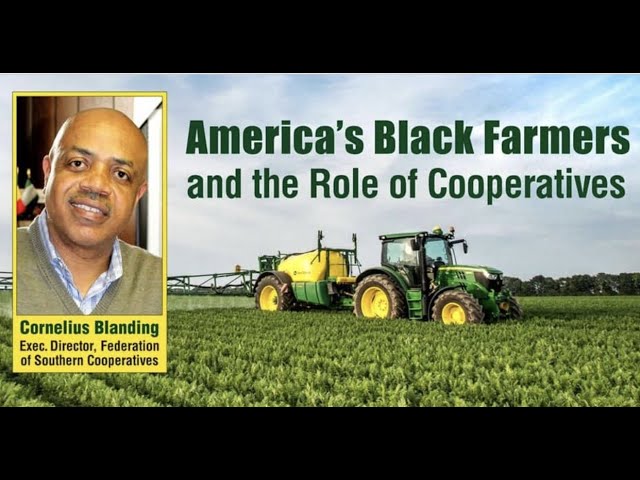 America’s Black Farmers and the Role of Cooperatives