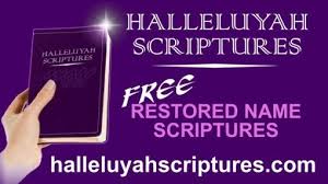HalleluYah Scriptures Banner – Yahudah Living