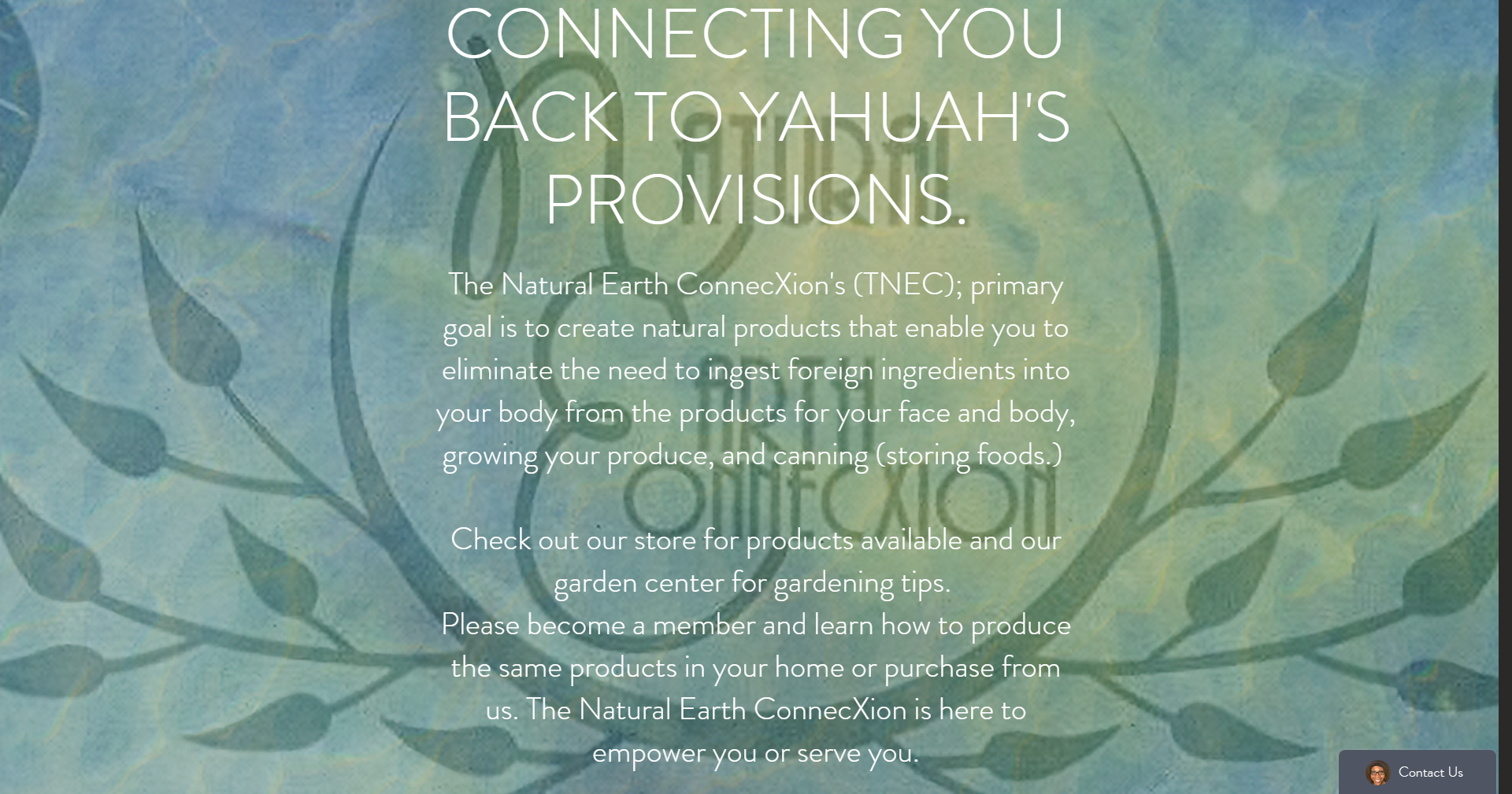The Natural Earth ConnecXion – Connecting you back to Yahuah’s provisions with natural products – Yahudah Living DIrectory Listing